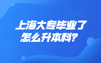 上海大專畢業(yè)了怎么升本科？